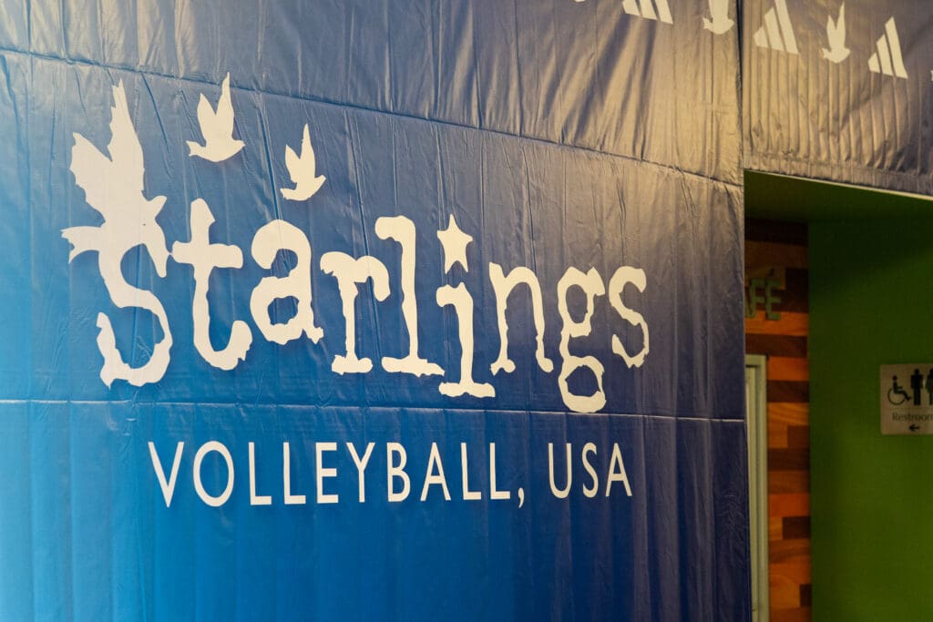 Starlings Volleyball Picture-6