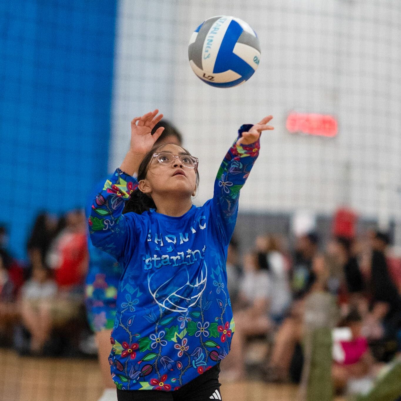 Starlings Volleyball Picture-09