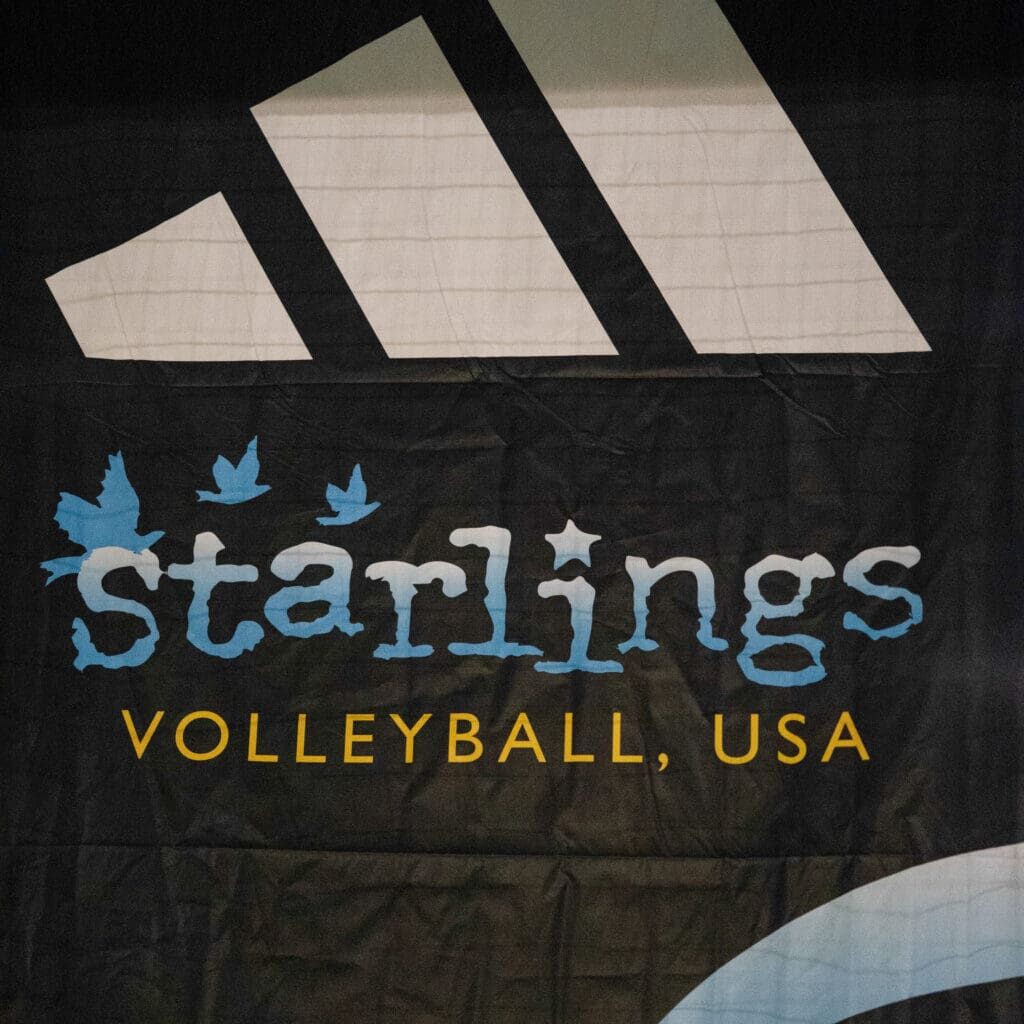 Starlings Volleyball Picture-7