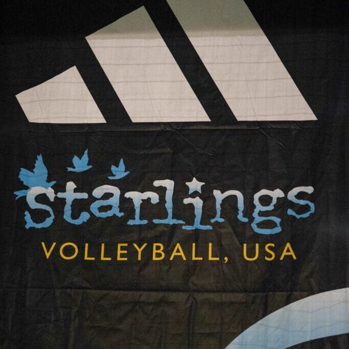 Starlings Volleyball Picture-7